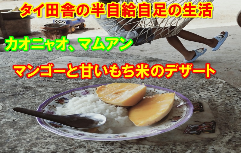 マンゴーともち米のデザート