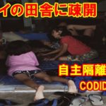 タイの田舎の子供